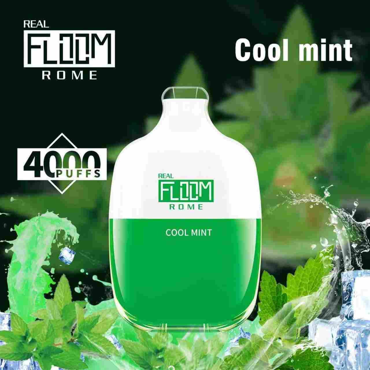 Floom Rome Cool Mint - 4000 - India Vape Store