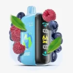 Elf Bar Raya D3 Blueberry Raspberry – 25K Puff