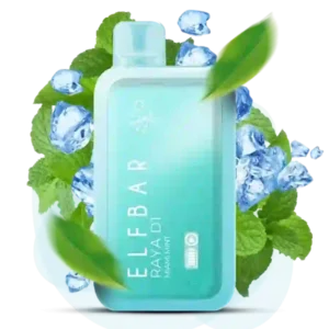 ELF BAR RAYA D1 - Miami Mint