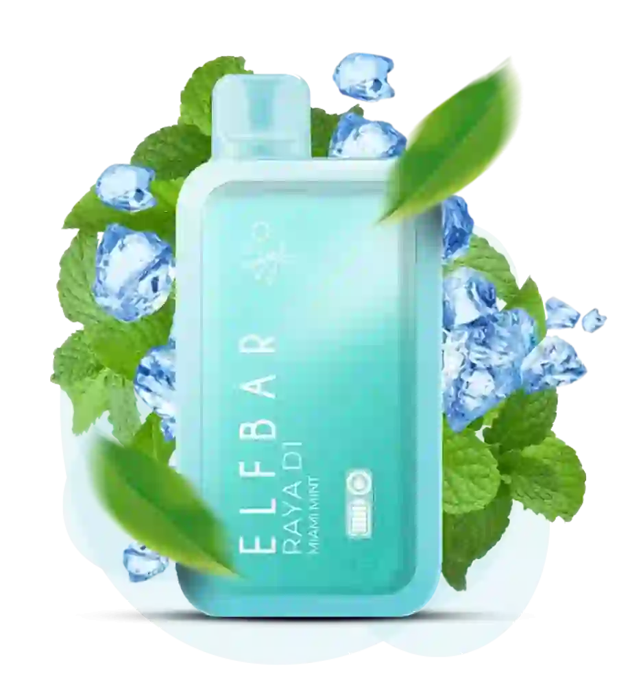 ELF BAR RAYA D1 – Miami Mint